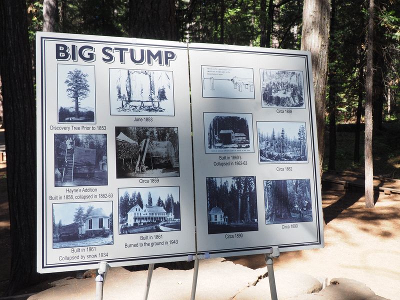 History of the Big Stump